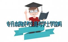 专升本的成考生能考学士学位吗