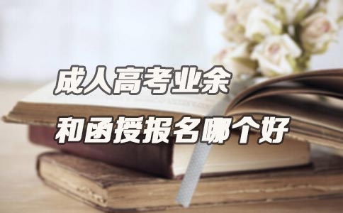 成人高考业余和函授报名哪个好？